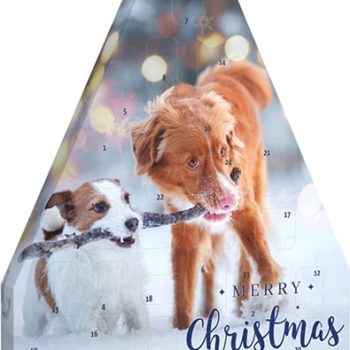 hunde-adventskalender-2022