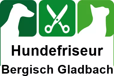 hundefriseur in bergisch gladbach