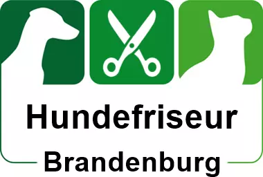 hundefriseur in brandenburg