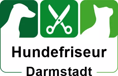 hundefriseur in darmstadt