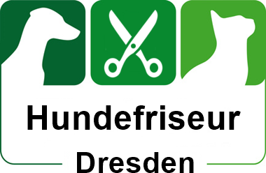 hundefriseur in dresden