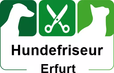 hundefriseur in erfurt
