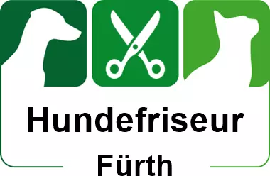 hundefriseur in fürth