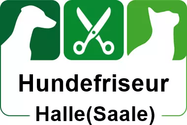 hundefriseur in halle