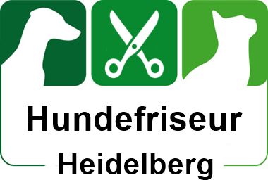 hundefriseur in heidelberg