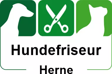 hundefriseur in herne
