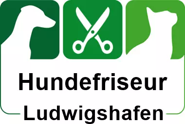 hundefriseur in ludwigshafen