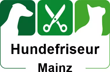 hundefriseur in mainz