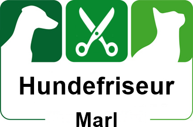 hundefriseur in marl