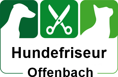 hundefriseur in offenbach