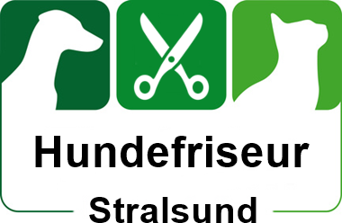 hundefriseur in stralsund