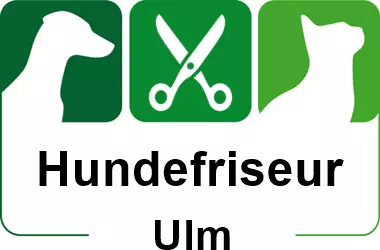 hundefriseur in ulm