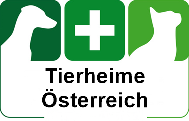 tierheim hallein