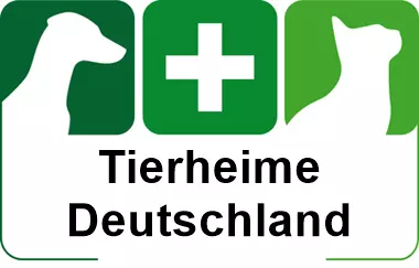 tierheim offenbach