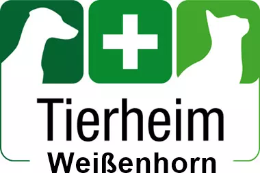 tierheim weißenhorn